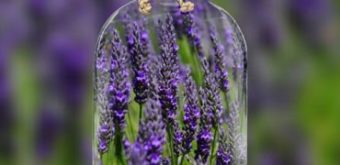 Add lavender oil to your hot towel or pillow
